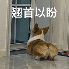 秋色, gtimg, text 秋色, gtimg, text