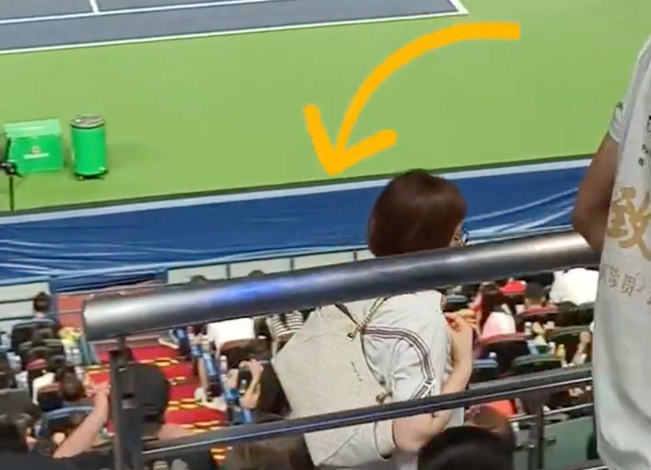 的女子在看, 过去的, 求安保将该 的女子在看, 过去的, 求安保将该